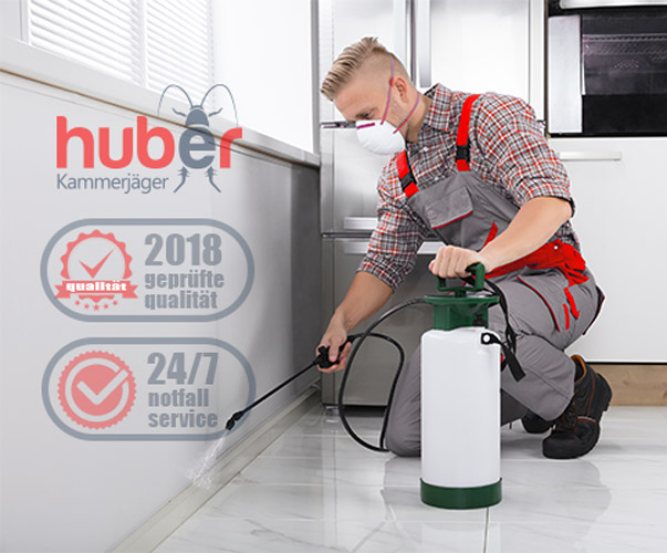 Der Schädlingsbekämpfer Profi Kammerjäger Huber